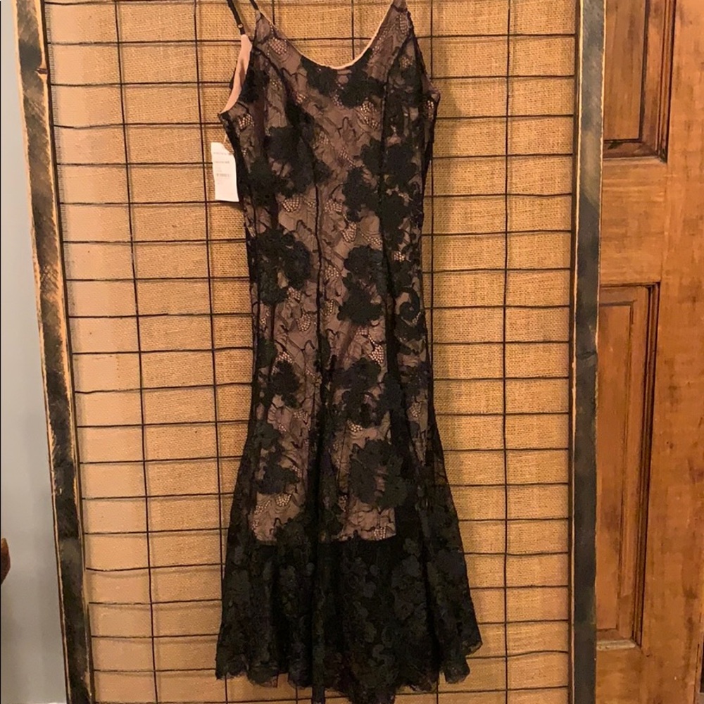 Dress The Population Lace Dress